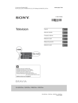 Sony KD-49XG7005 Omaniku manuaal