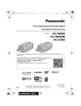 Panasonic HC-W580M Omaniku manuaal