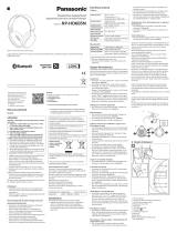 Panasonic RPHD605N Kasutusjuhend