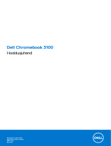 Dell Chromebook 3100 Omaniku manuaal