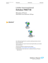 Endres+Hauser Deltabar PMD75B Short Instruction