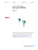 Endres+Hauser Micropilot FMR66B Short Instruction