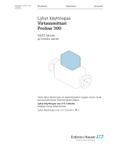 Endres+Hauser Flowmeter Proline 300 Short Instruction