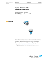 Endres+Hauser Cerabar PMP51B Short Instruction