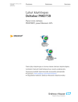 Endres+Hauser Deltabar PMD75B Short Instruction