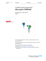 Endres+Hauser Micropilot FMR66B Short Instruction