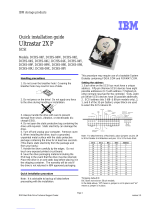 IBM DCHS-09W Quick Installation Manual