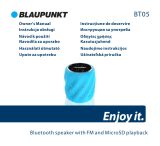 Blaupunkt BT05 Bluetooth speaker Omaniku manuaal