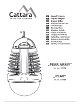 Cattara13179